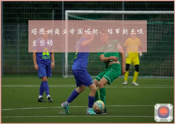 塔图姆商业帝国崛起，绿军新王吸金密码
