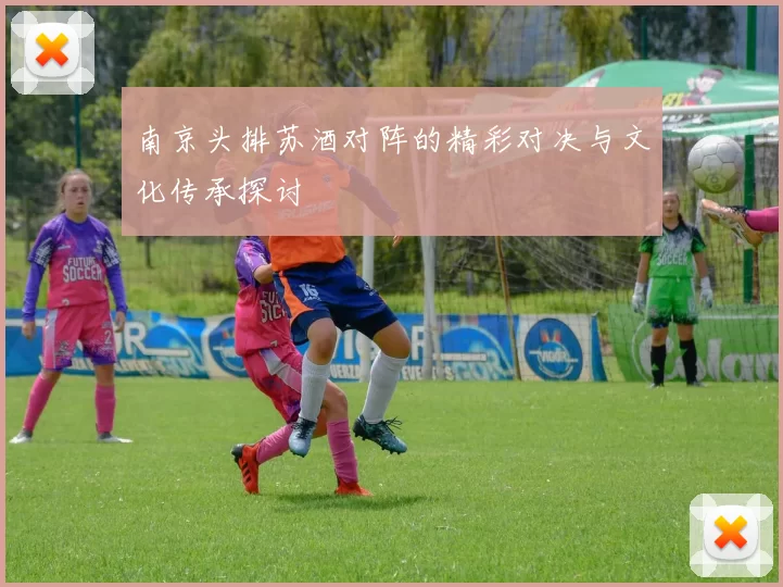 南京头排苏酒对阵的精彩对决与文化传承探讨