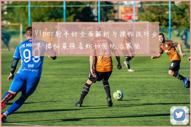 Viper射手的全面解析与操作技巧分享 揭秘最强毒蛇如何统治赛场