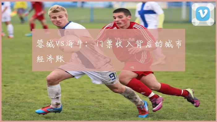 蓉城vs海牛：门票收入背后的城市经济账