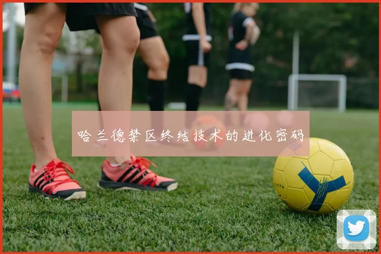 哈兰德禁区终结技术的进化密码